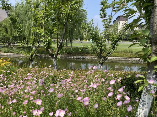 E水系带状公园