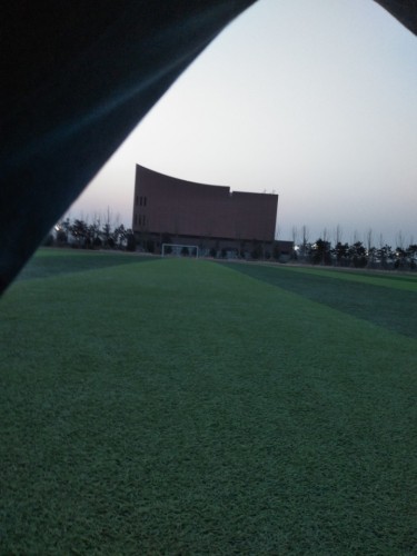 齐河体育公园旅行图片 2