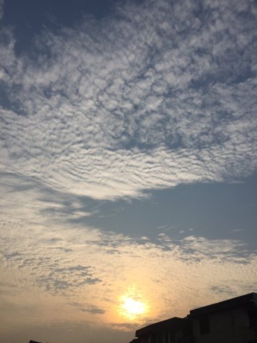 田峒湾旅行图片 2