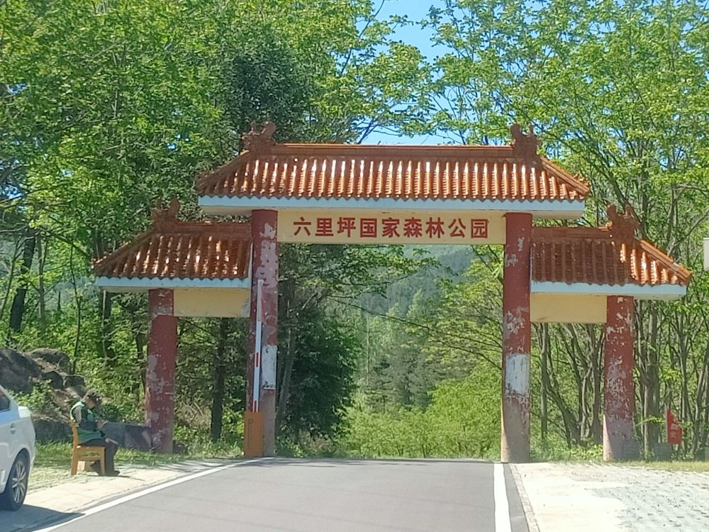 六里坪国家森林公园景点图片