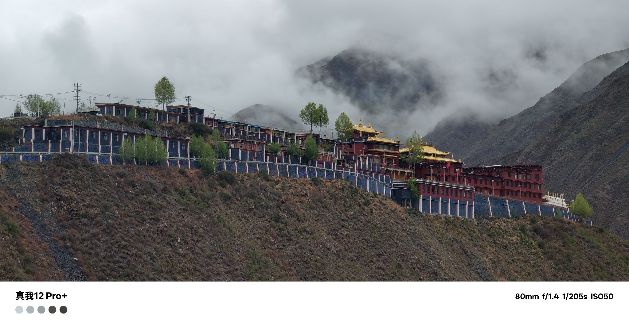 龙庆寺实景照片
