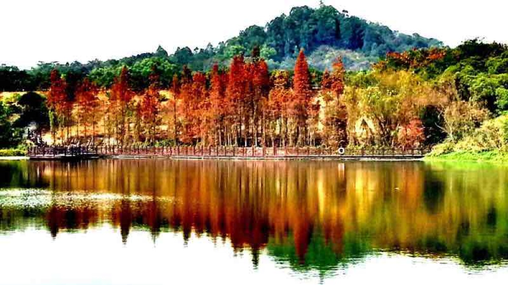 大夫山森林公园景点图片