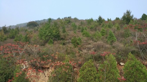 蒲洼自然保护区旅行图片 2