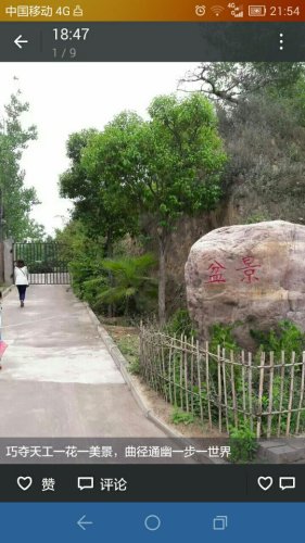 河南中州盆景文化园旅行图片 1
