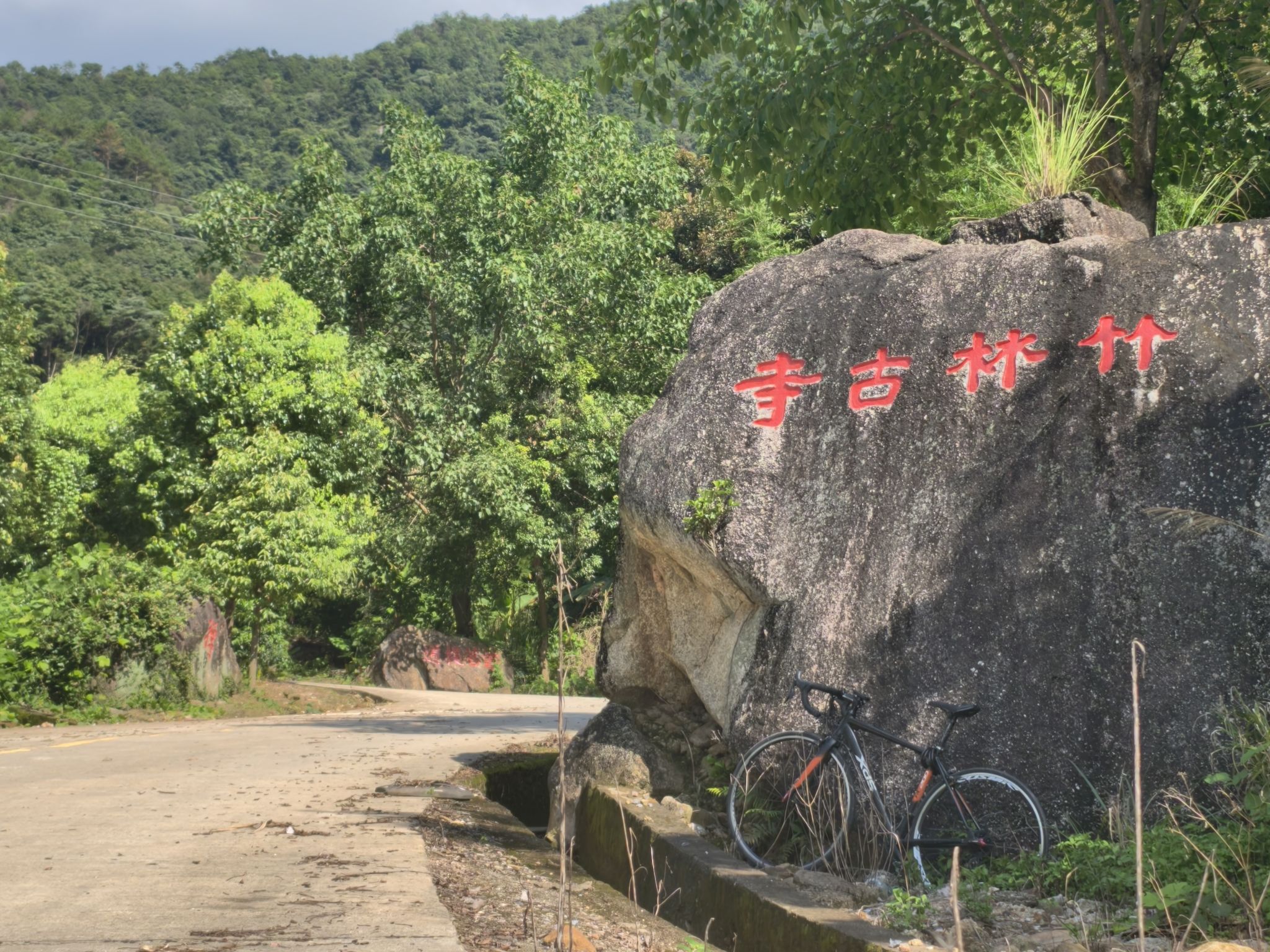 竹林古寺实景照片