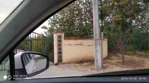 郑州市宠物公园旅行图片 1