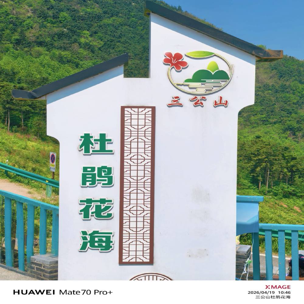 三公山杜鹃花海景点图片