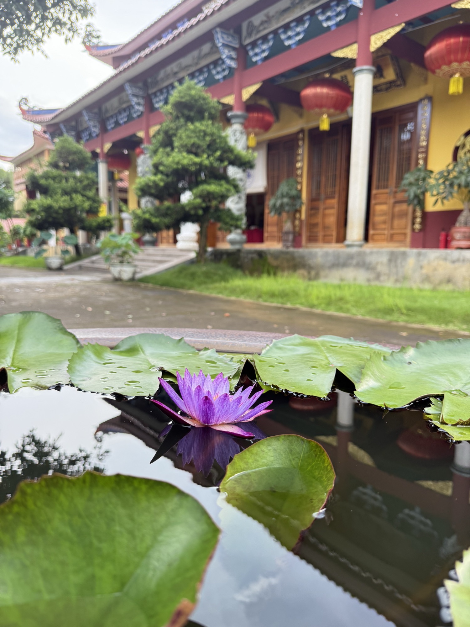 善福禅寺实景照片