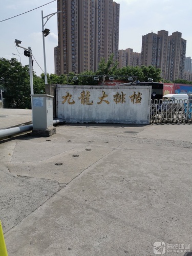 九龙大排档(东方西路)
