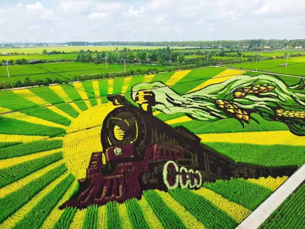 稻梦空间景点图片