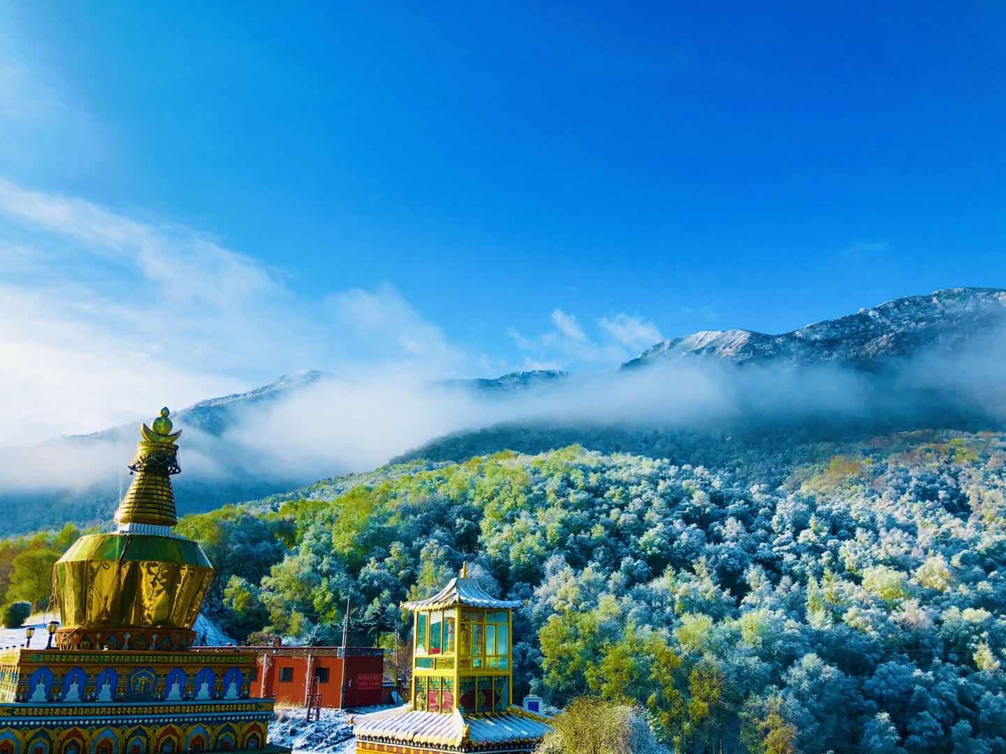 尕楞叶强寺实景照片