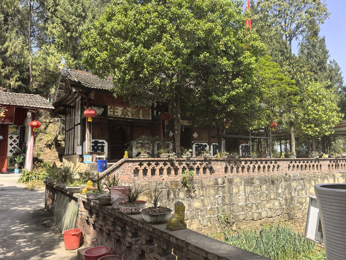 中山寺实景照片
