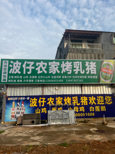 波仔农家烤蒸乳猪