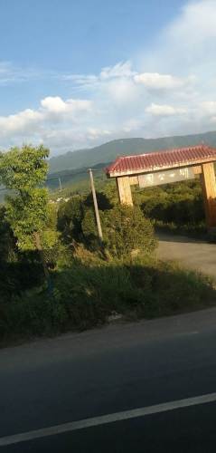 湖心公园旅行图片 2