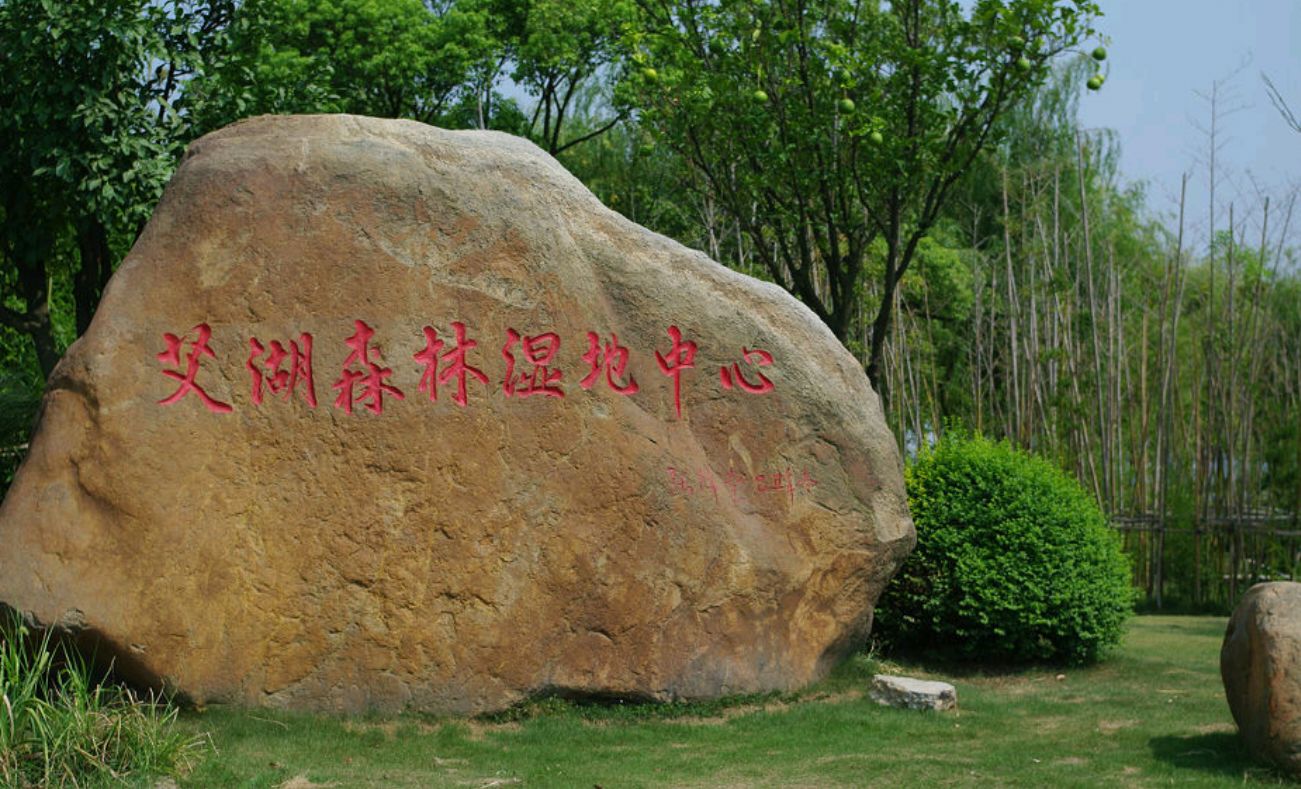 艾溪湖湿地公园现场照片 3