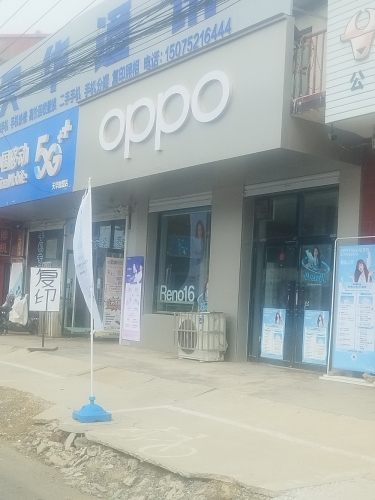 OPPO授权专营店(保定定州市南城区定魏路店)