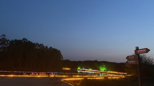图里河国家湿地公园旅行图片 2