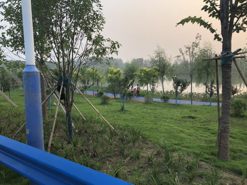 南湖公园旅行图片 1