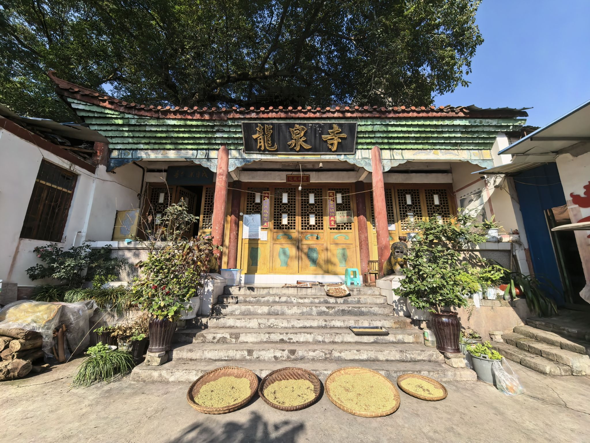 龙泉寺实景照片