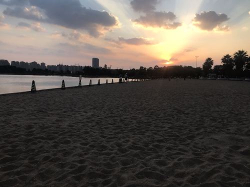 王道公园(泰美)旅行图片 2