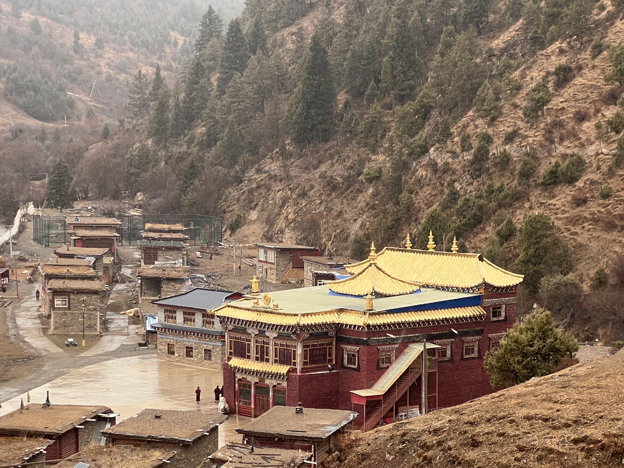 壤塘县俄拉寺实景照片