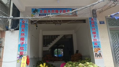 文昌天然椰子批发(文明西路店)