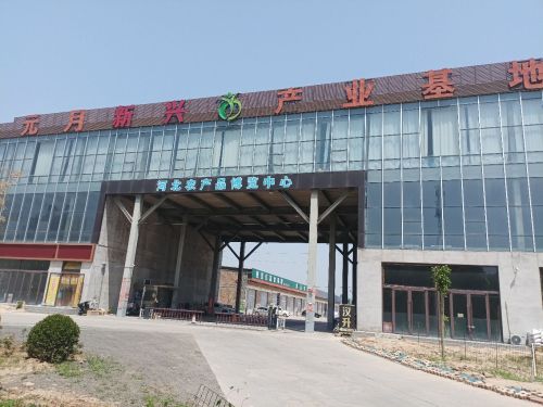 元月新兴产业基地实景图（3）