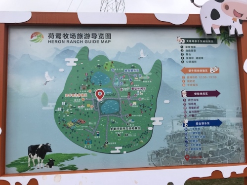 荷鹭风情小镇旅行图片 1