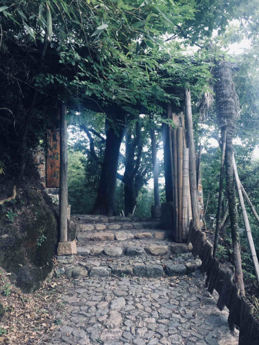 百竹园旅行图片 2