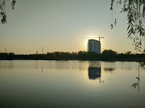 莲花公园旅行图片 1