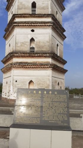 万魁塔旅行图片 1