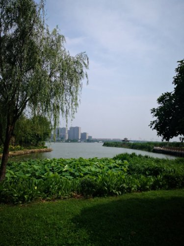阳山荡公园旅行图片 3