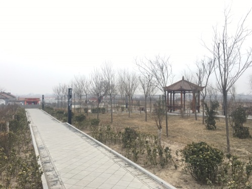 千年古槐旅行图片 2