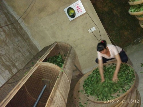 梅记泰山楼旅行图片 1