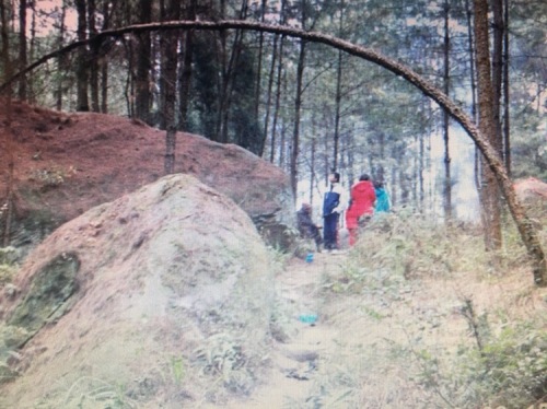 马拉口大峡谷旅行图片 1