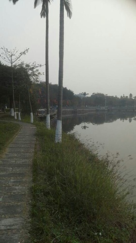 碧莲湖公园旅行图片 2