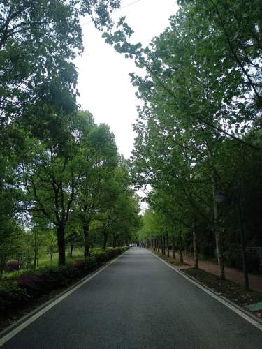 长沙市青竹湖休闲公园旅行图片 3