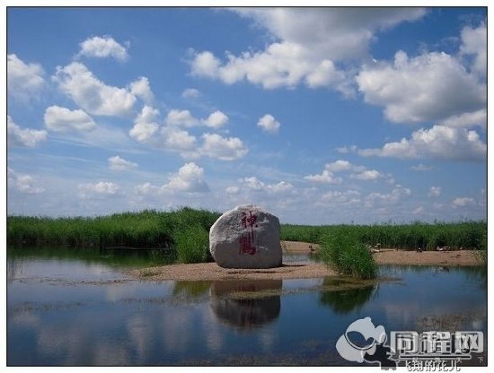 扎龙国家级自然保护区景点图片