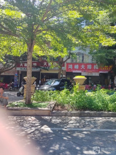 鸿峰大排档