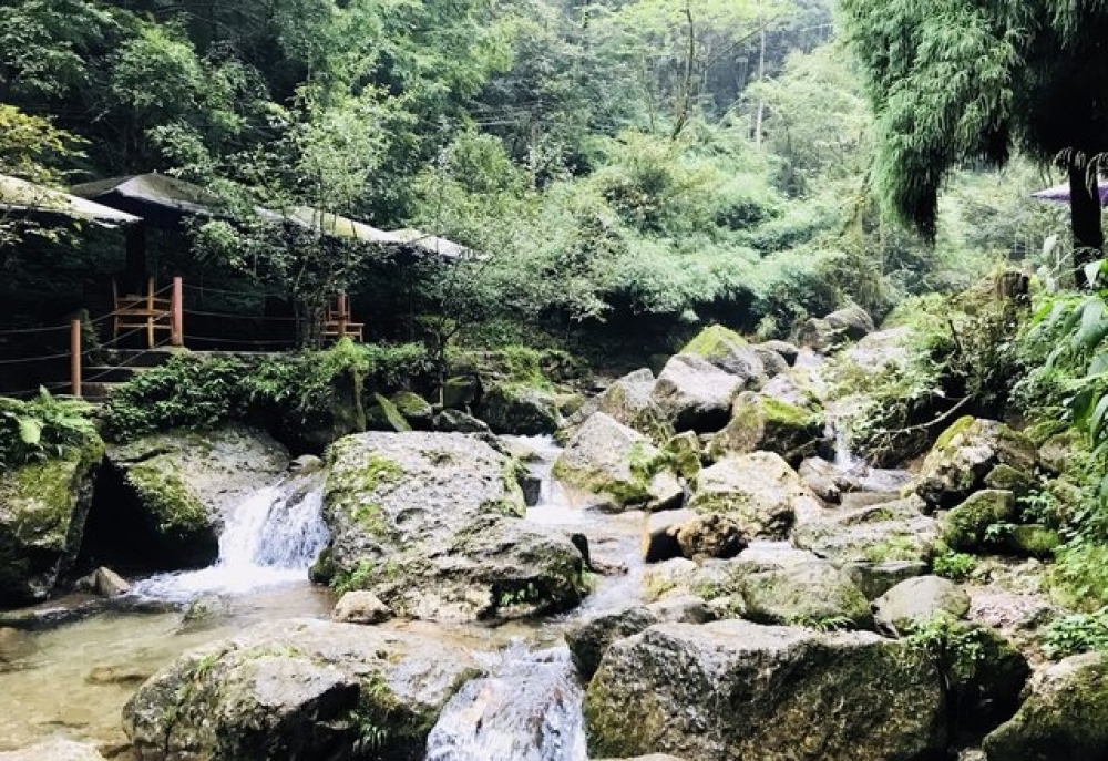 青城后山景点图片