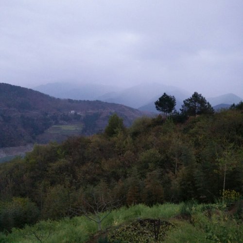 白龙湖旅行图片 2