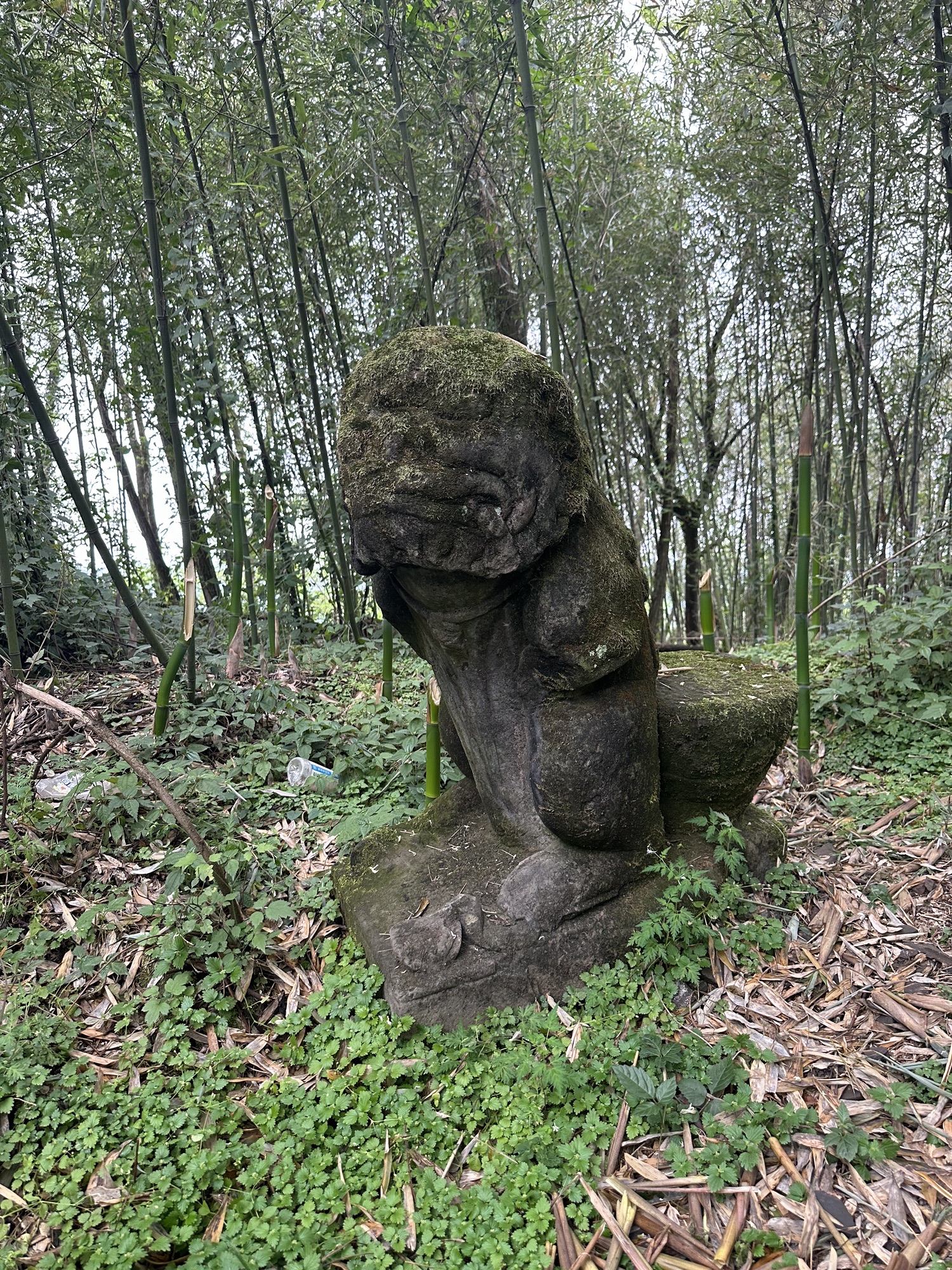 来苏寺实景照片