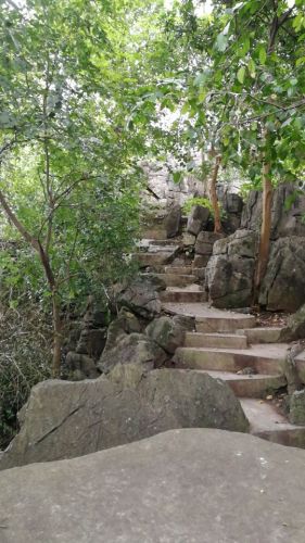 石嶷文塔旅行图片 3