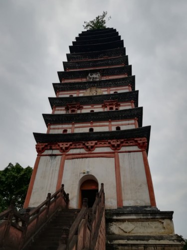 白塔园旅行图片 2