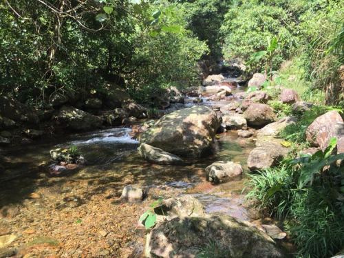 阿婆山旅游风景区旅行图片 3