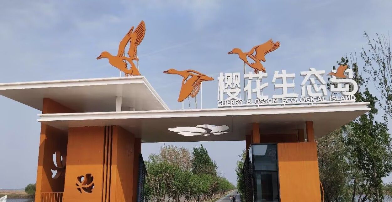 樱花岛