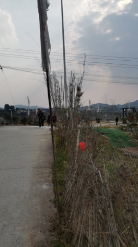 庙子山飞龙生态园旅行图片 2