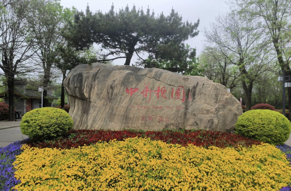 中华槐园景点图片