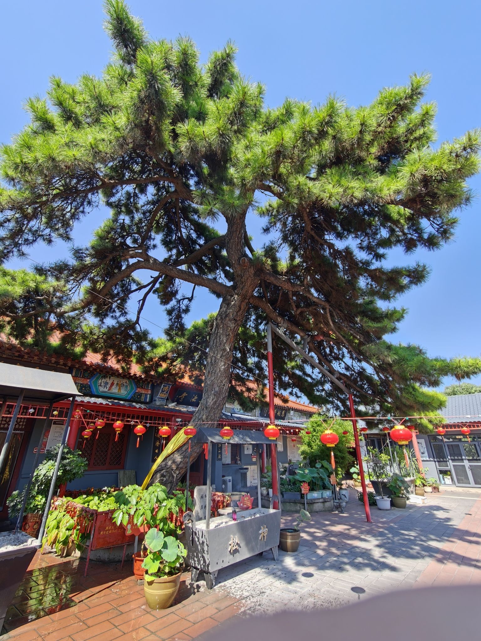迁安弘法寺实景照片