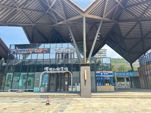 嗲嗲的椰子鸡(石梅湾店)